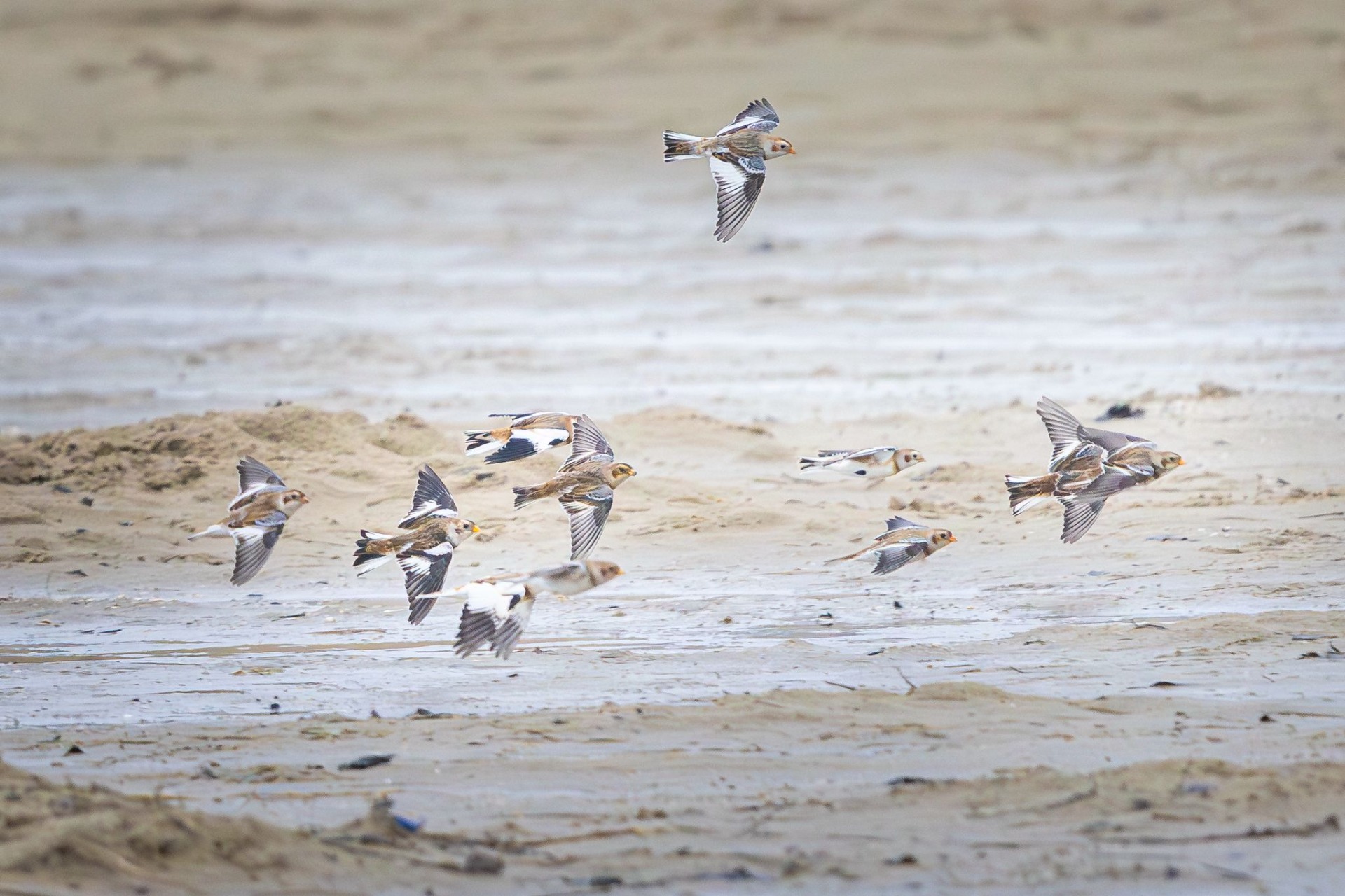 Foto: Lieven Van De Weghe